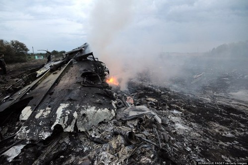 Необходимо провести открытое, независимое и объективное расследование крушения MH17 - ảnh 1